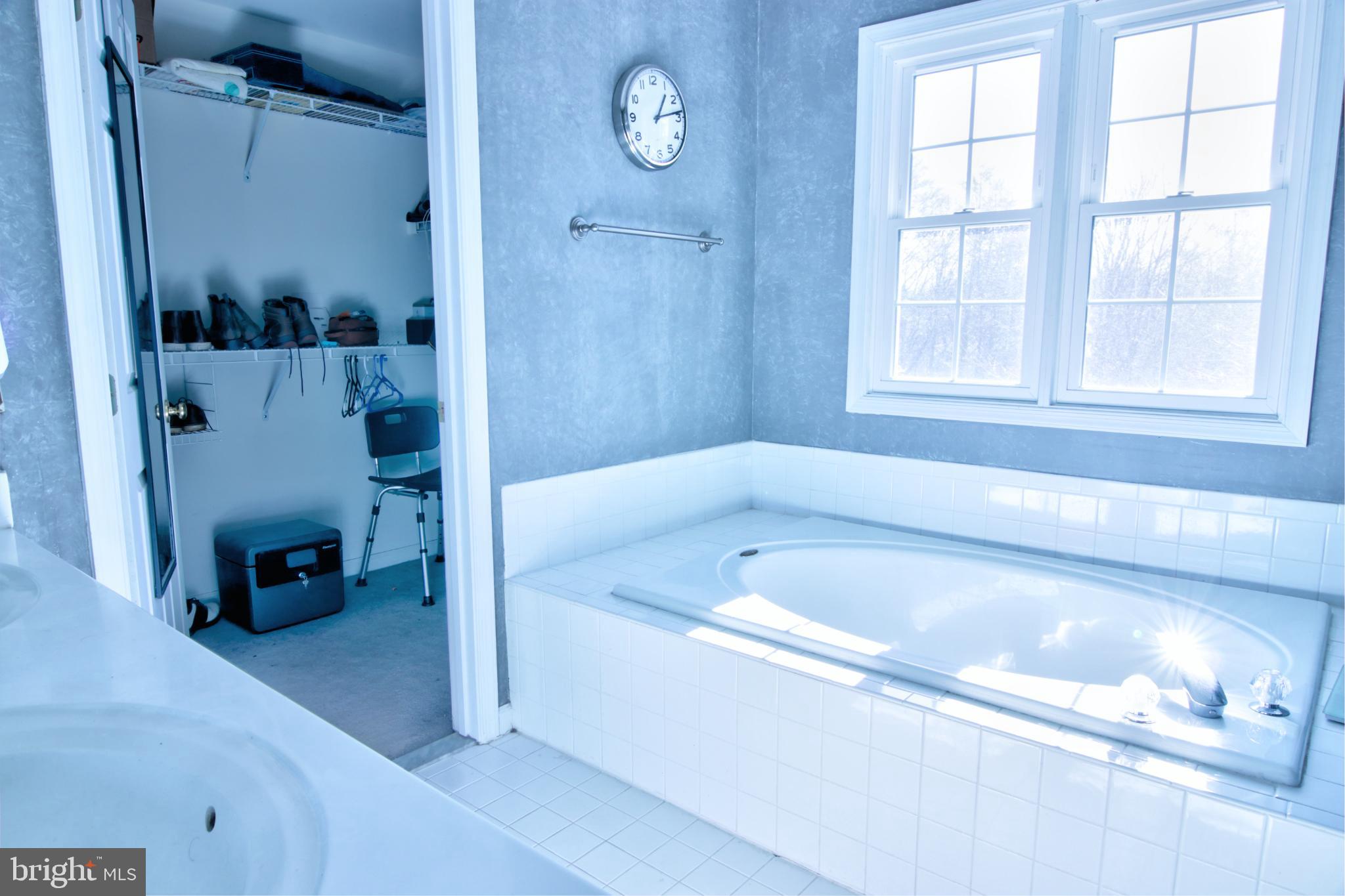 3879 Schroeder Avenue Perry Hall, MD 21128 - Photo 23 of 31 a bathroom with a tub a sink and a large window