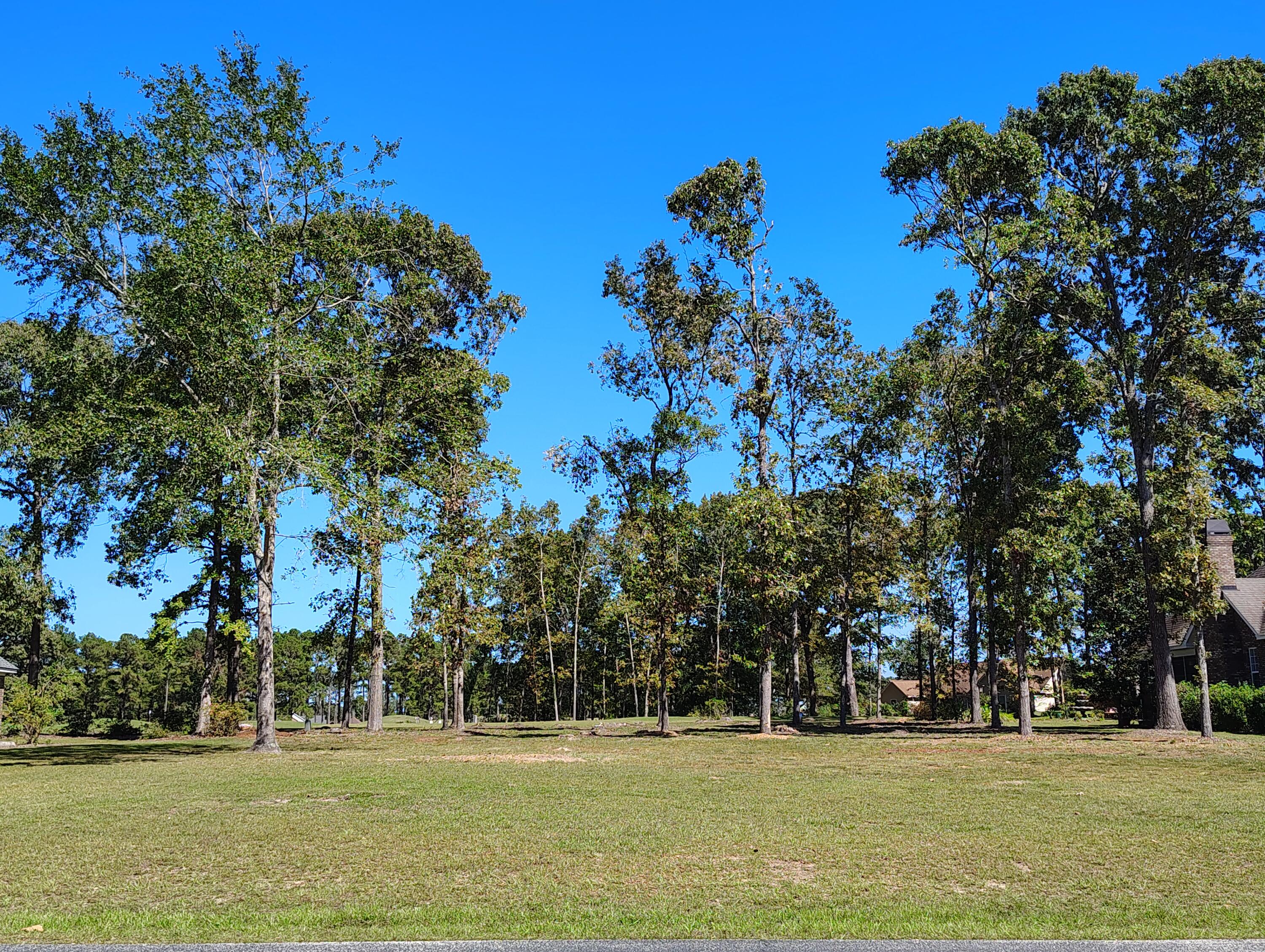 44 Ridge Lake Drive Manning, SC 29102 - Photo 2 of 9 IMG_20251003_134710014_HDR