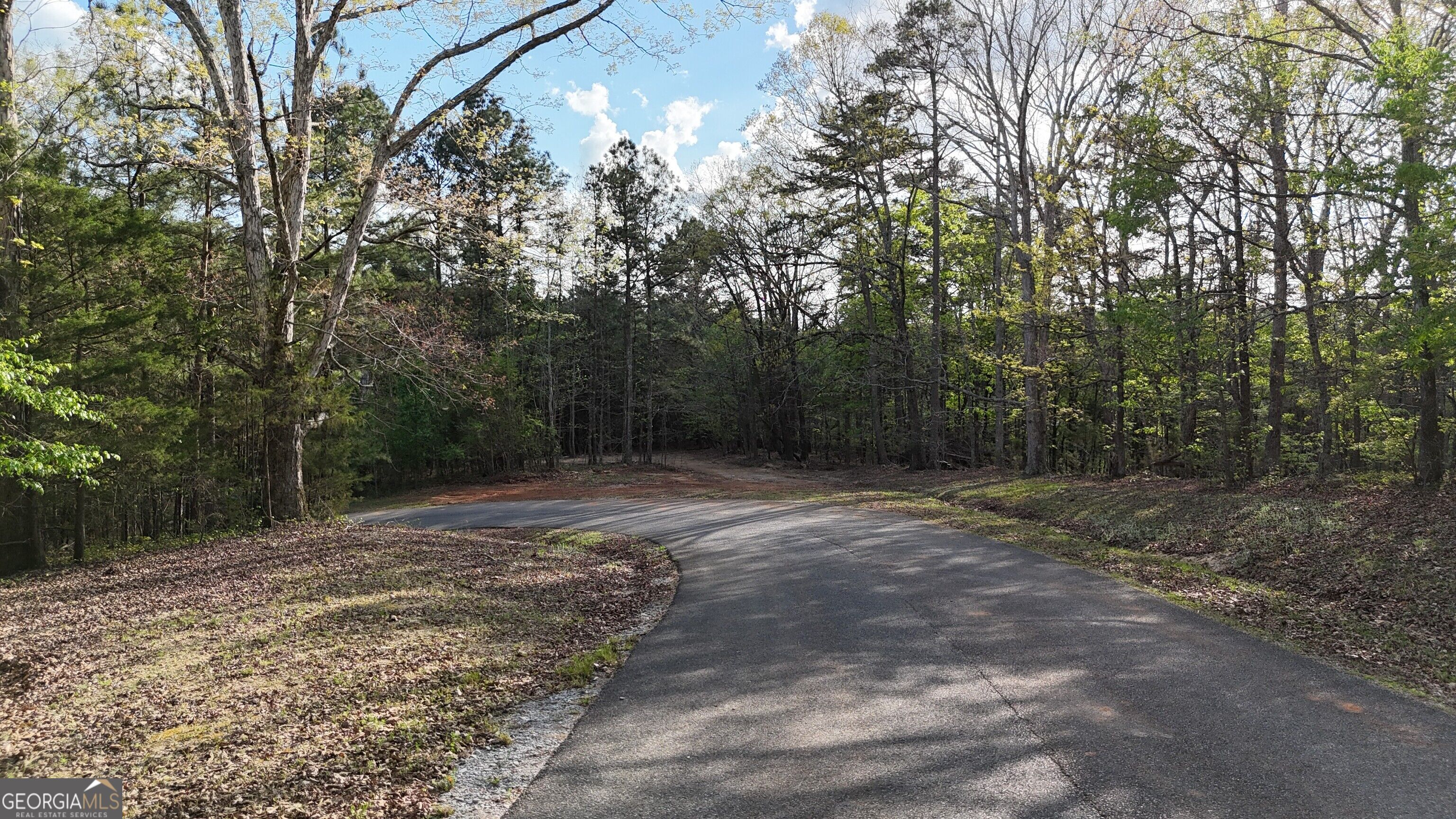 Tract 2 Chalcrest Way Cave Spring, GA 30124 - Photo 23 of 52 Gallery Image 23
