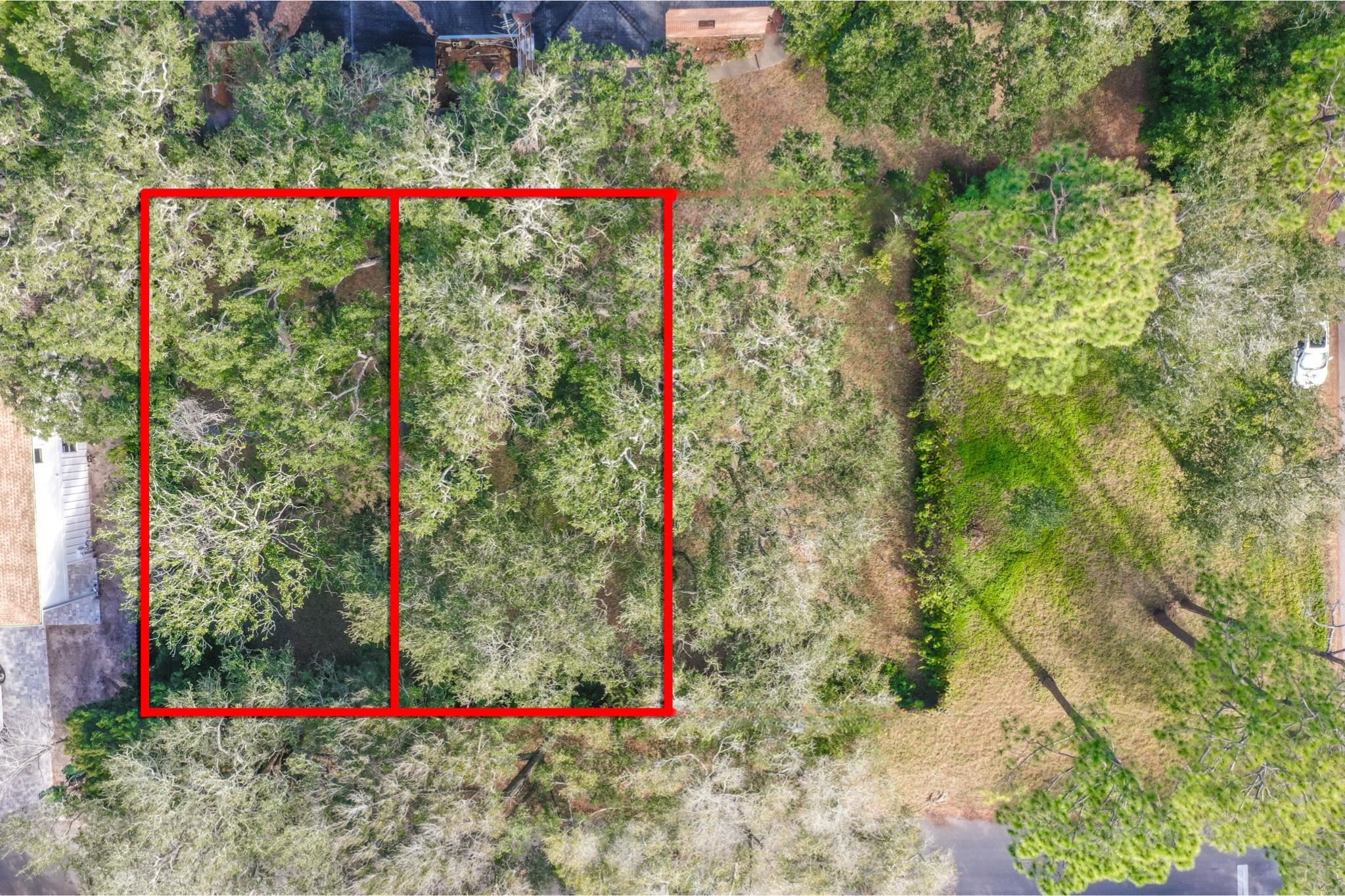 408 D Street St. Augustine, FL 32080 - Photo 6 of 6 a view of a flower garden
