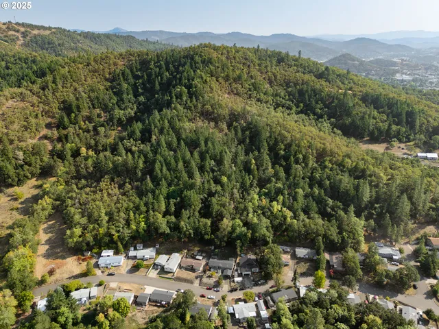 a view of a forest with mountains in the background