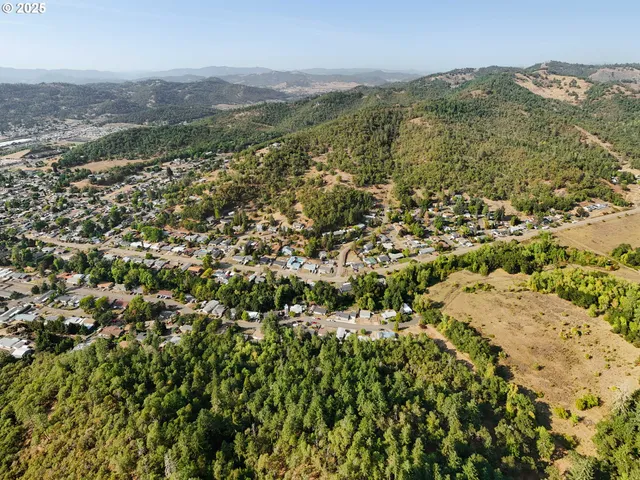 a view of city and mountain