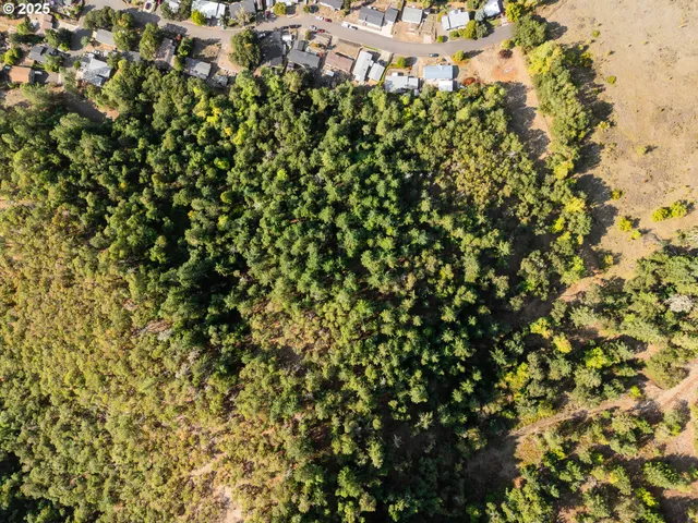 a view of a large yard