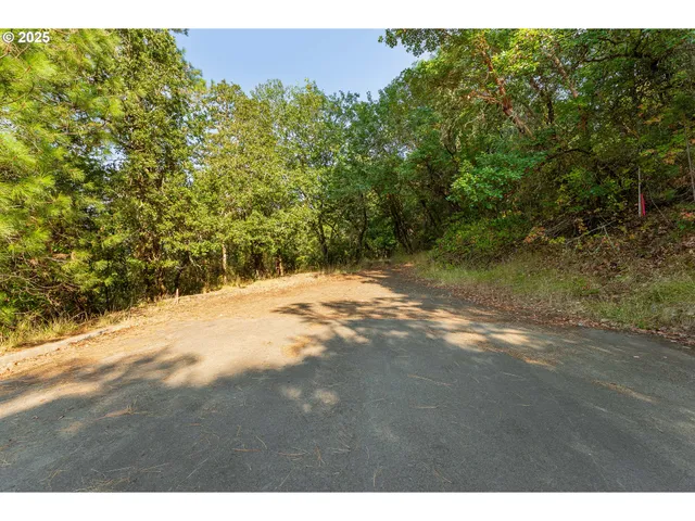 a view of a yard with a tree