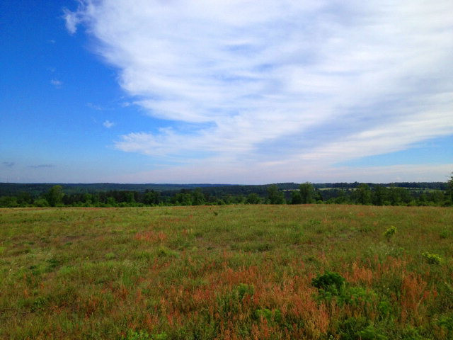 Tract B Township Road Aiken, SC 29803 - Photo 18 of 19