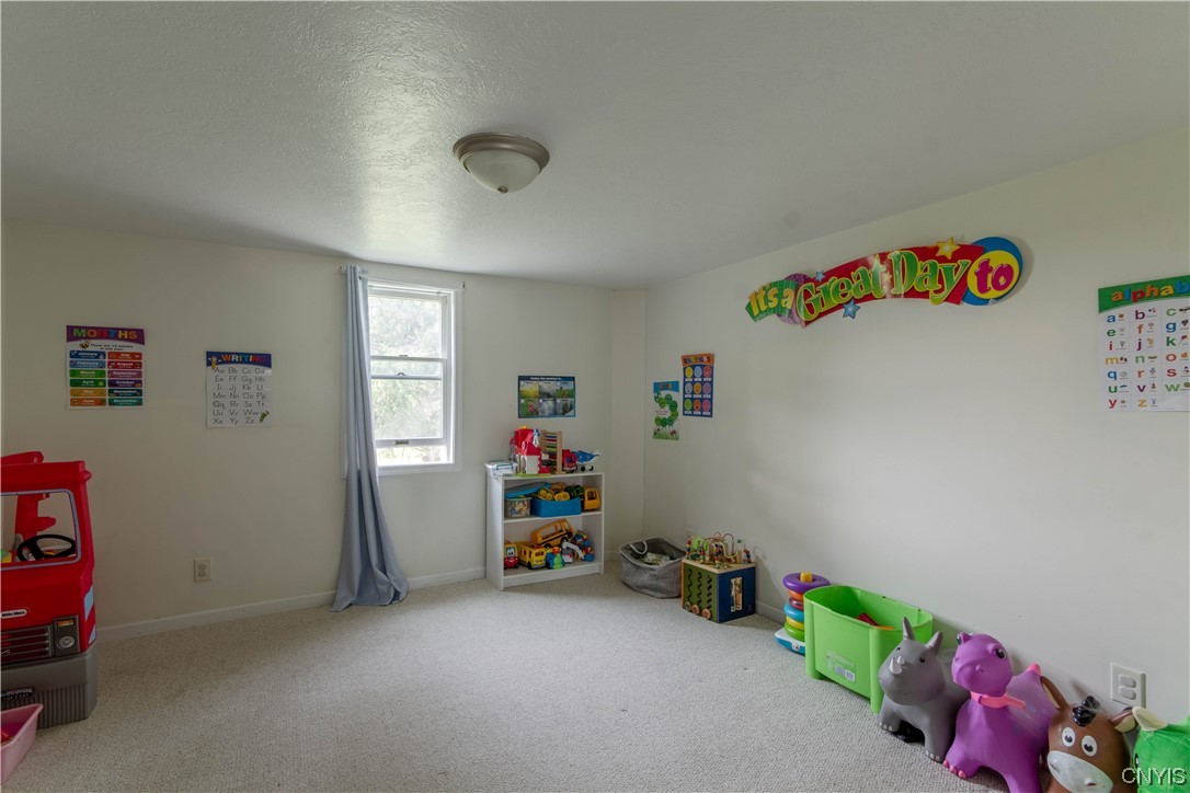 30290 Rockbrook Road Le Ray, NY 13637 - Photo 11 of 27