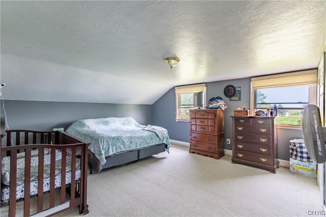 30290 Rockbrook Road Le Ray, NY 13637 - Photo 12 of 27