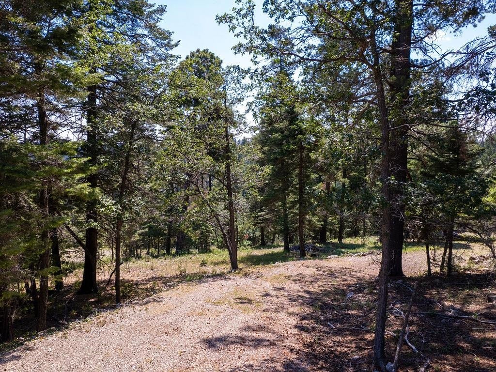 33 Clear Sky Road Cloudcroft, NM 88317 - Photo 16 of 23 Gallery Image 16