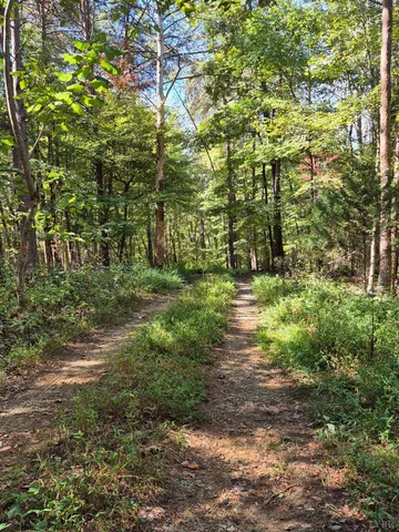 a view of a golf course