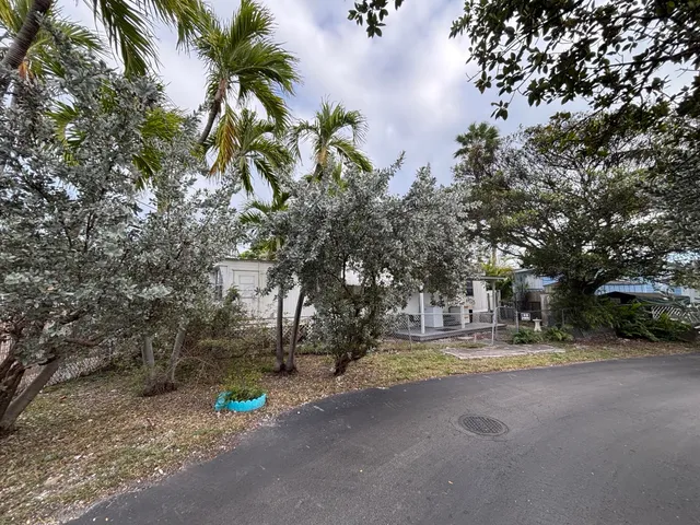 a view of road and trees