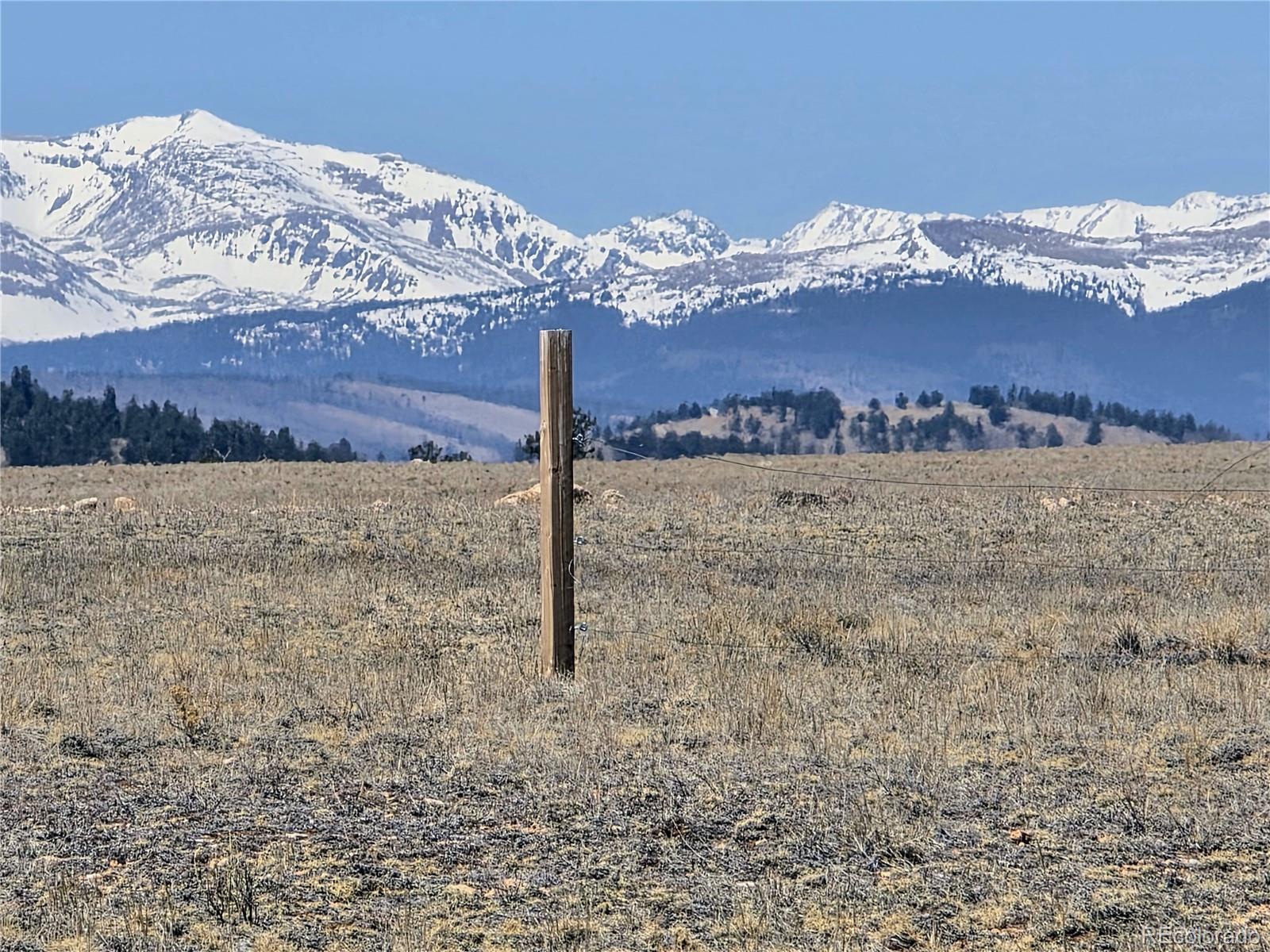 1000 Yellowstone Road Hartsel, CO 80449 - Photo 20 of 37 a view of a dry yard with a mountain