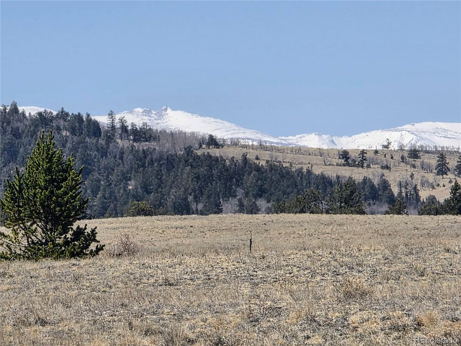 1000 Yellowstone Road Hartsel, CO 80449 - Photo 23 of 37 a view of outside space