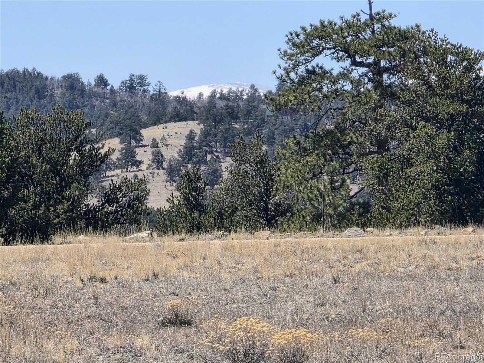 1000 Yellowstone Road Hartsel, CO 80449 - Photo 24 of 37 a view of covered with snow