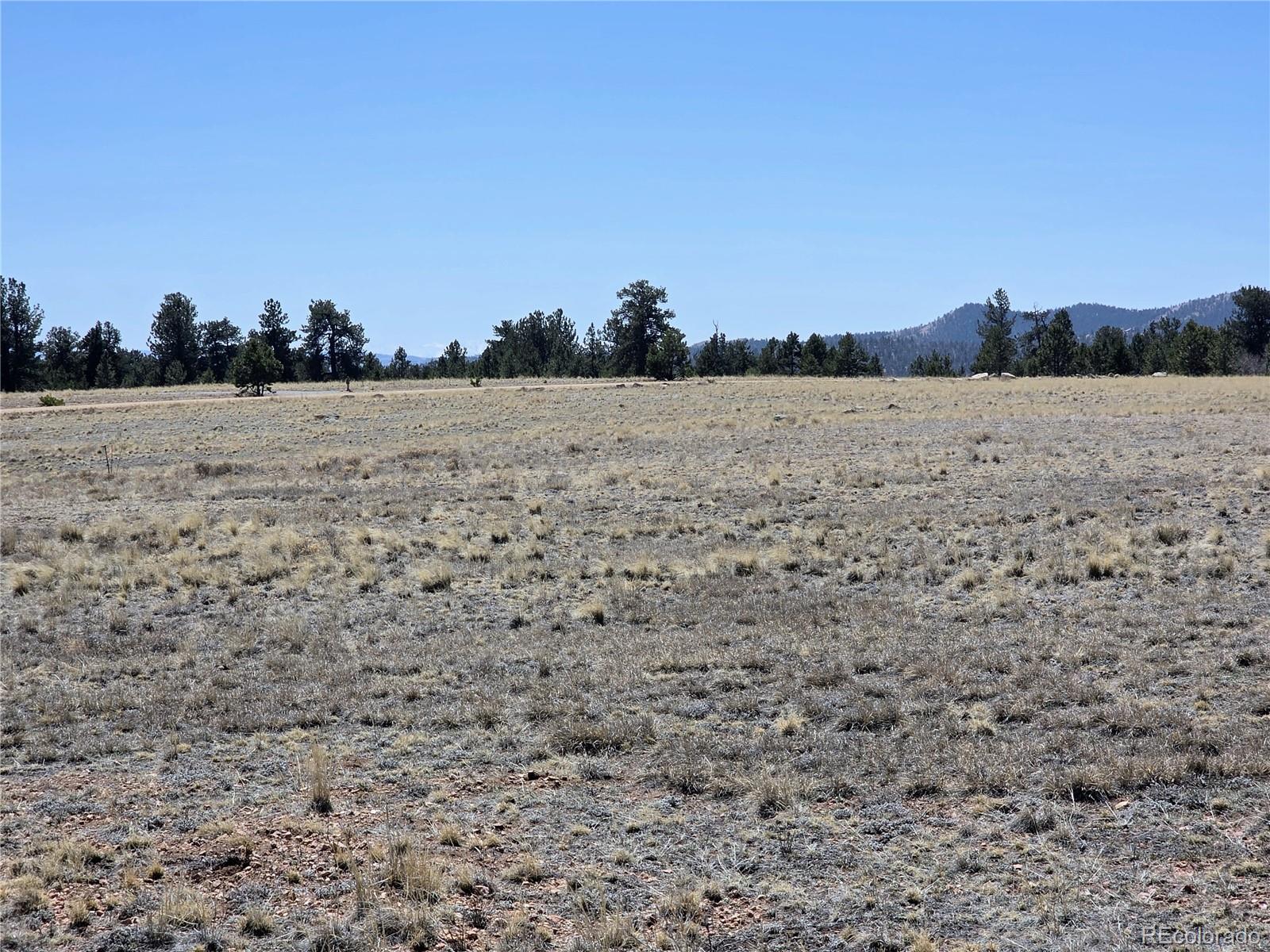 1000 Yellowstone Road Hartsel, CO 80449 - Photo 28 of 37 a view of a lake view