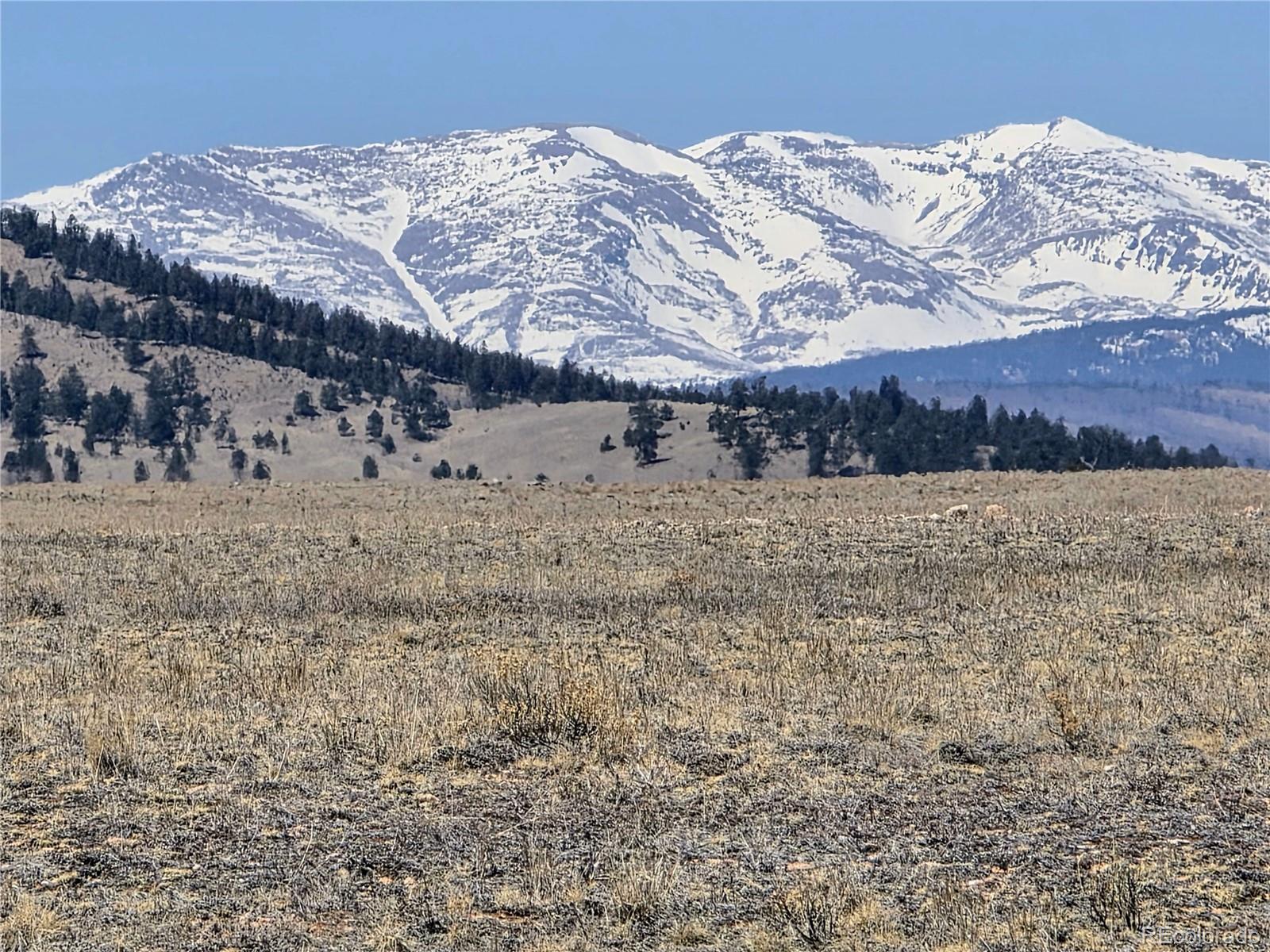 1000 Yellowstone Road Hartsel, CO 80449 - Photo 3 of 37 a view of a large building with large trees