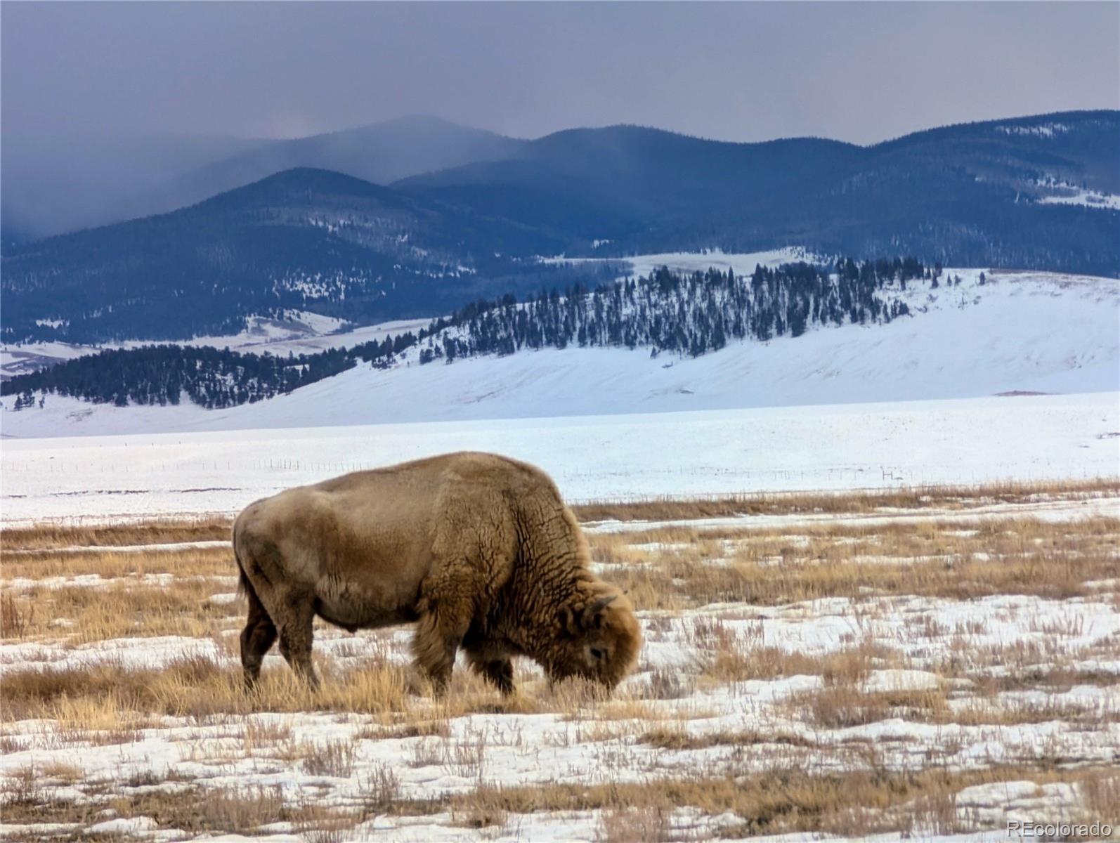 1000 Yellowstone Road Hartsel, CO 80449 - Photo 36 of 37 a view of a sky from a terrace