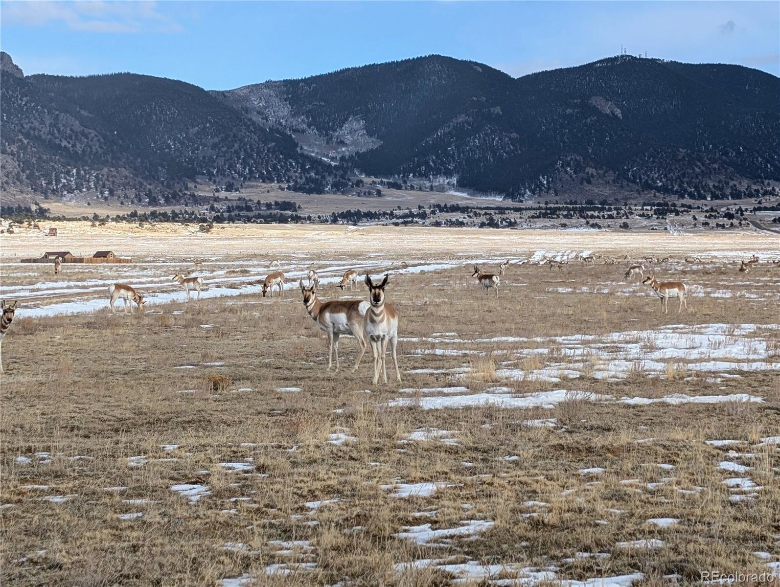 1000 Yellowstone Road Hartsel, CO 80449 - Photo 37 of 37