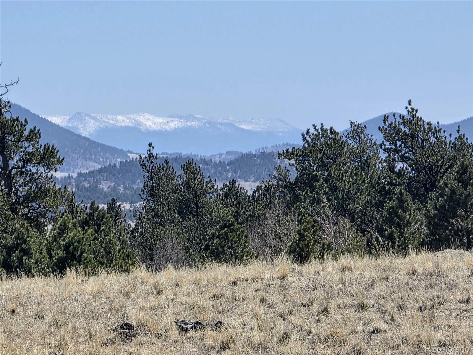 1000 Yellowstone Road Hartsel, CO 80449 - Photo 5 of 37 a view of a dry yard with a mountain in the background