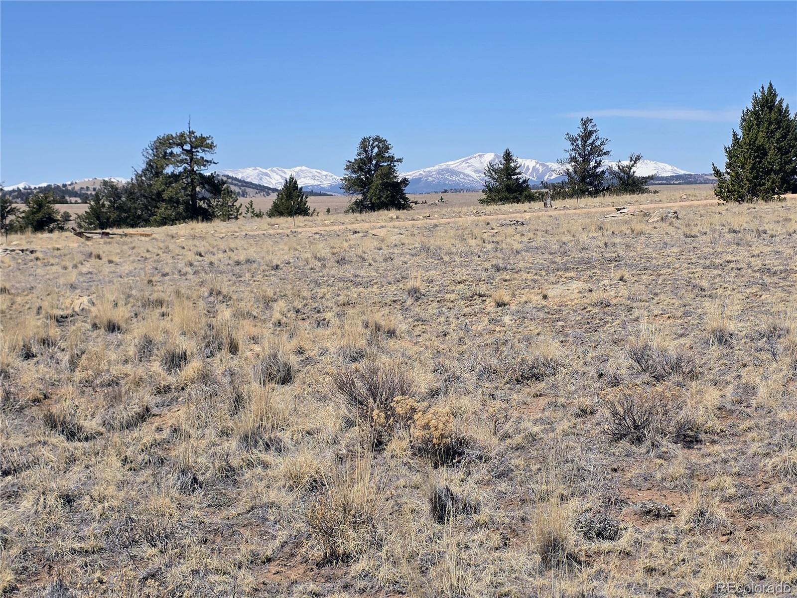 1000 Yellowstone Road Hartsel, CO 80449 - Photo 8 of 37 a view of a backyard of a house