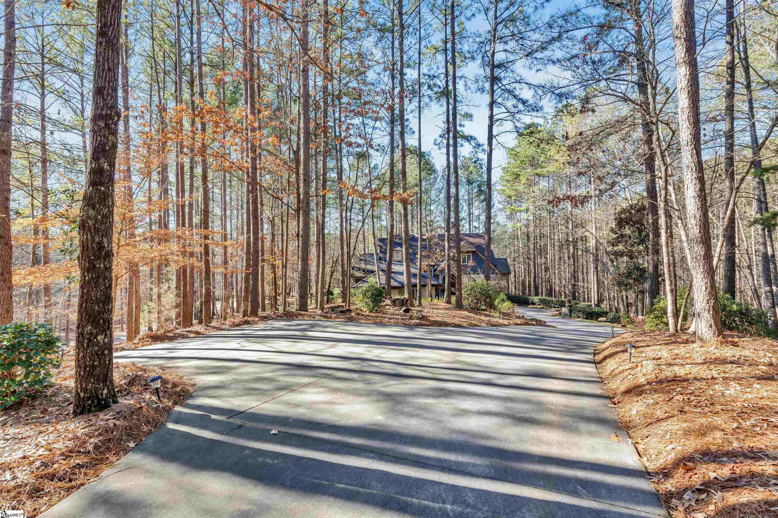 311 Top Ridge Drive Sunset, SC 29685 - Photo 4 of 48
