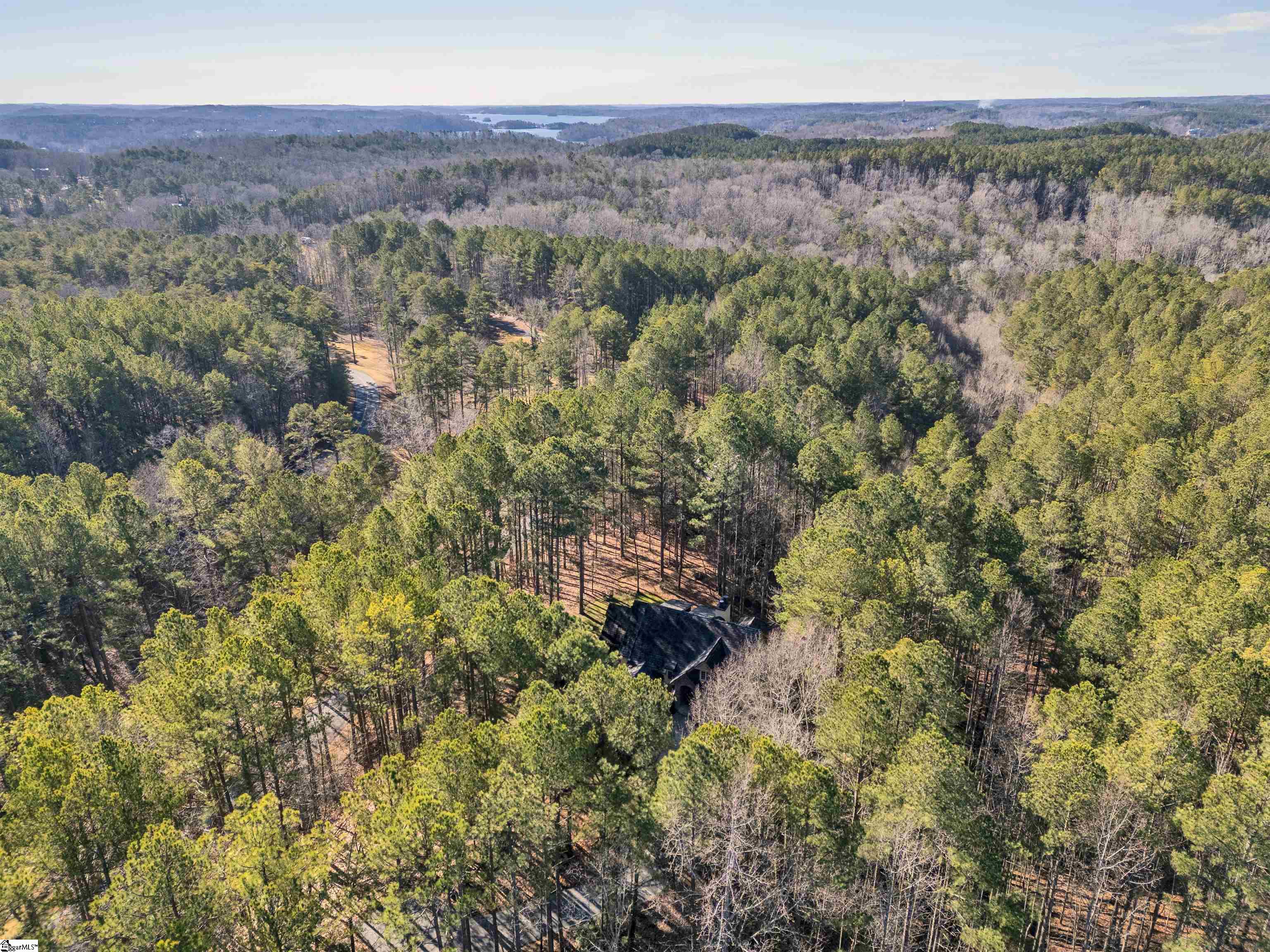 311 Top Ridge Drive Sunset, SC 29685 - Photo 41 of 48