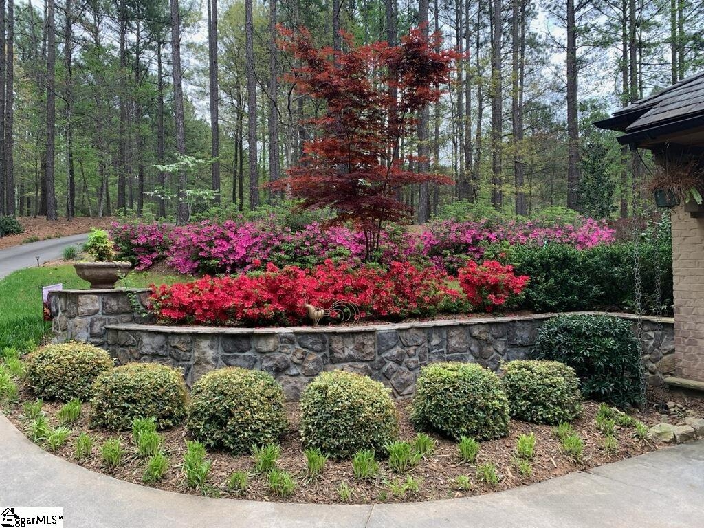 311 Top Ridge Drive Sunset, SC 29685 - Photo 44 of 48
