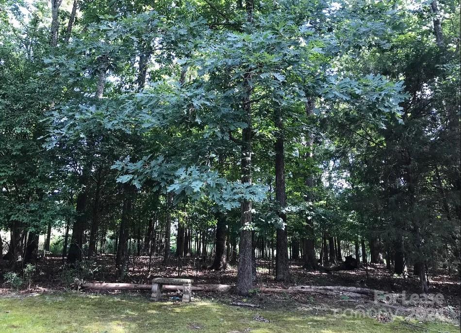 2414 Providence Road South Waxhaw, NC 28173 - Photo 15 of 15 a view of swimming pool with outdoor seating and trees