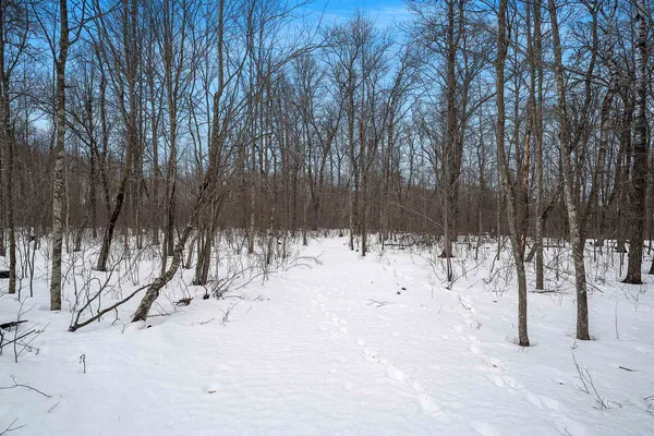 $129,900 | W10548 Newton Lane, Athelstane, WI 54104