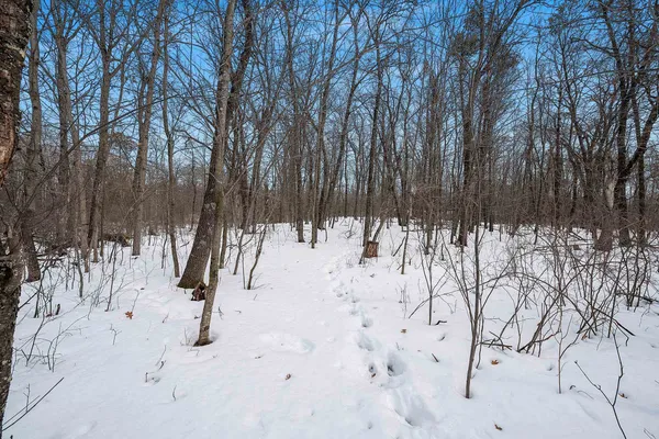 $129,900 | W10548 Newton Lane, Athelstane, WI 54104