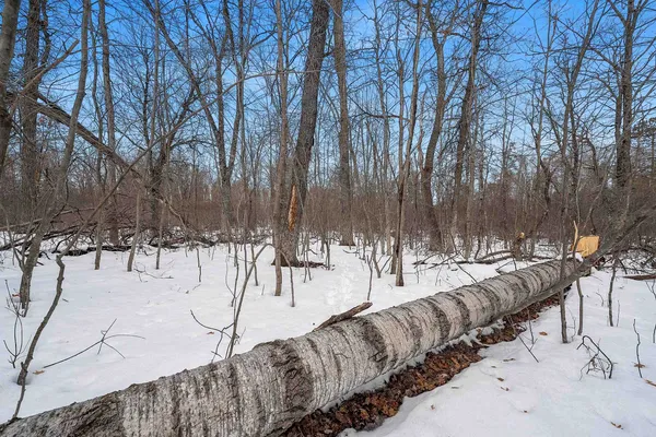 $129,900 | W10548 Newton Lane, Athelstane, WI 54104