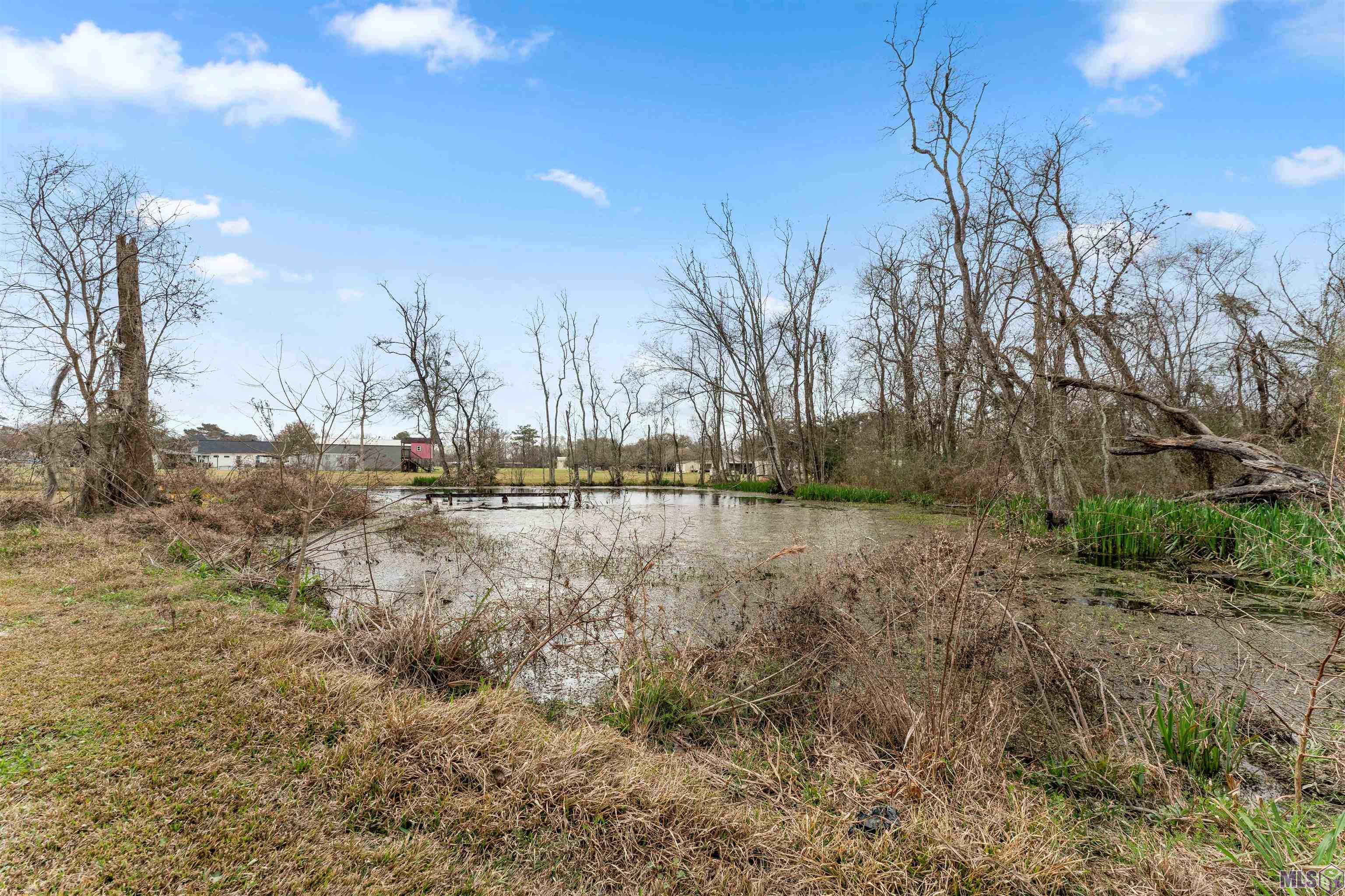 12417 Roddy Road Gonzales, LA 70737 - Photo 33 of 45
