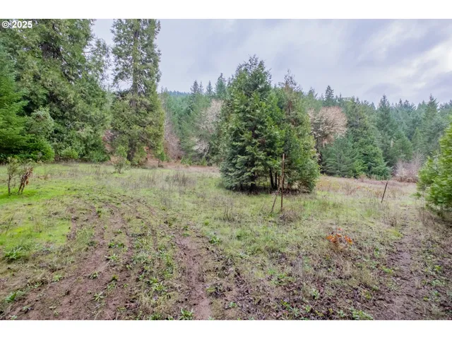 $700,000 | 9740 Upper Olalla Road, Winston, OR 97496