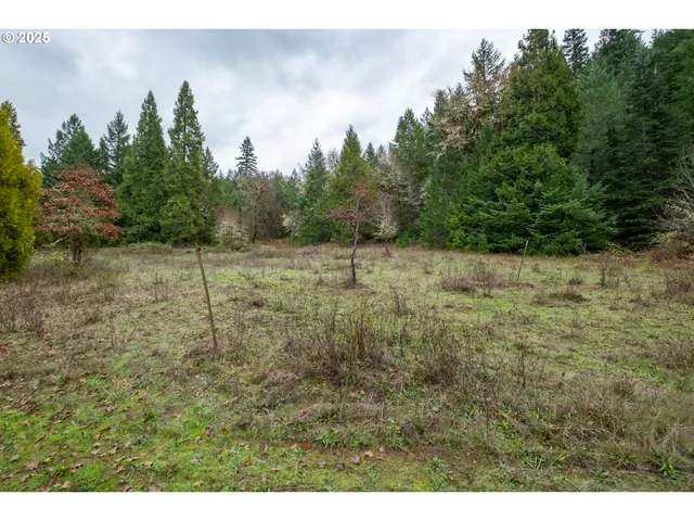 $700,000 | 9740 Upper Olalla Road, Winston, OR 97496