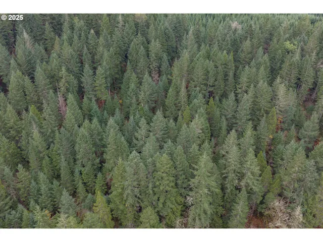 $700,000 | 9740 Upper Olalla Road, Winston, OR 97496