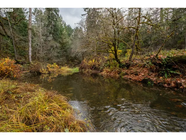 $700,000 | 9740 Upper Olalla Road, Winston, OR 97496