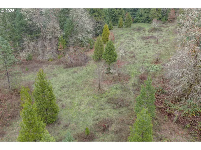 $700,000 | 9740 Upper Olalla Road, Winston, OR 97496