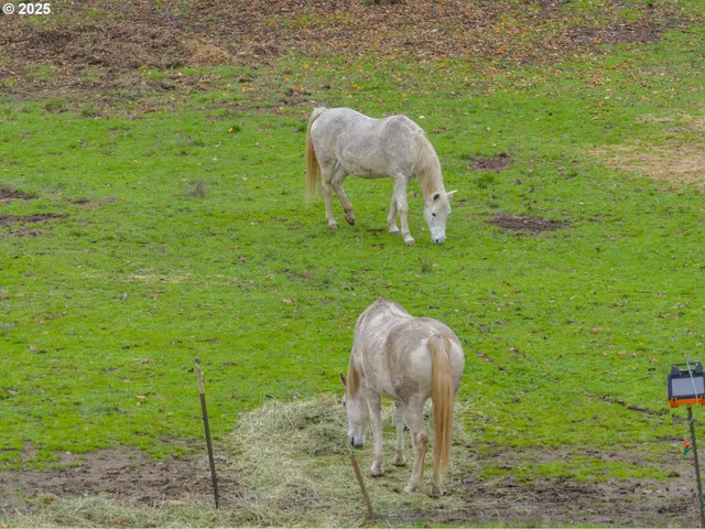 $700,000 | 9740 Upper Olalla Road, Winston, OR 97496