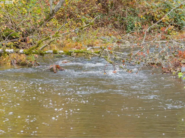 $700,000 | 9740 Upper Olalla Road, Winston, OR 97496