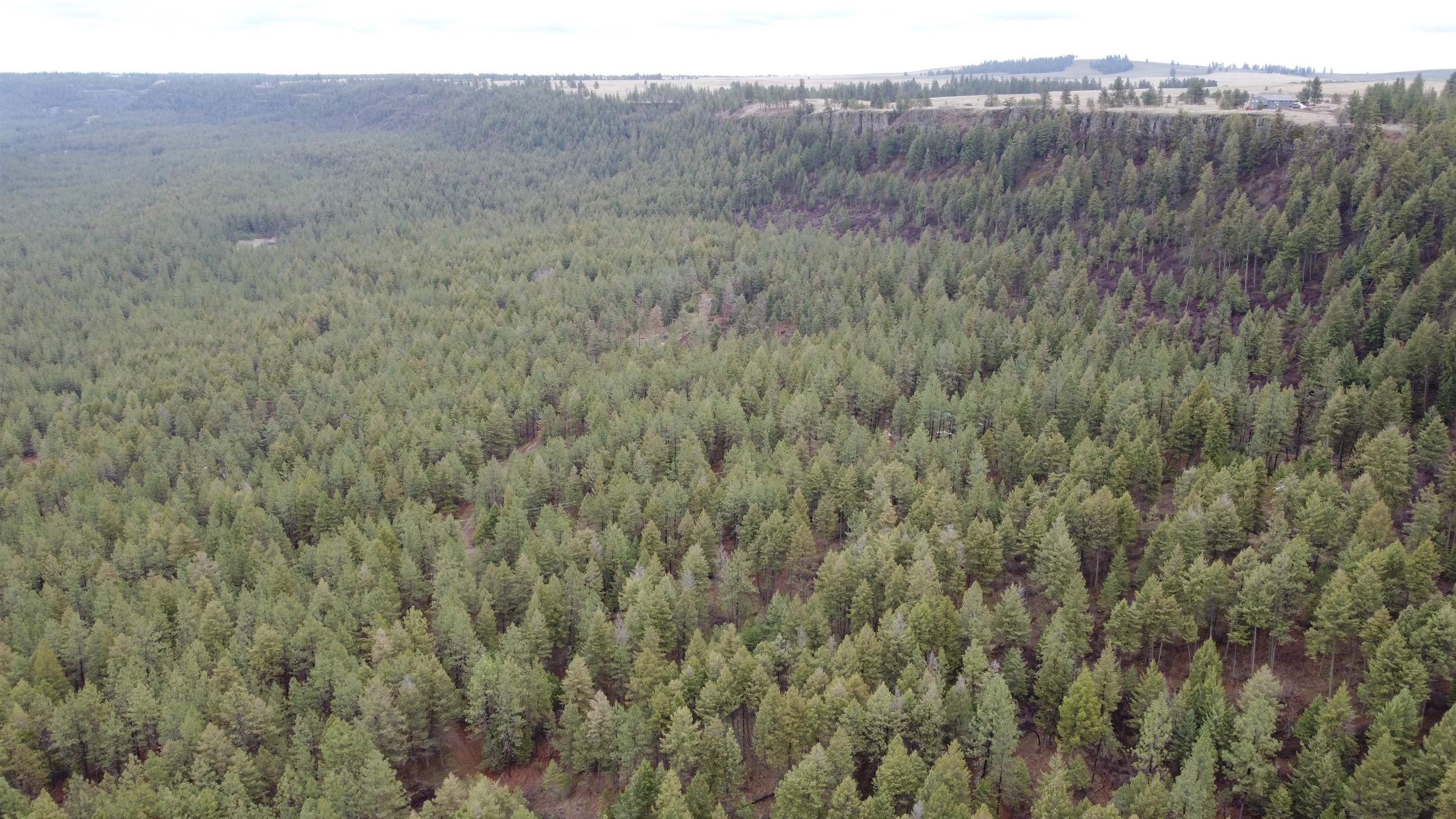 Xxx Coyote Ridge Ln Ford Ford, WA 99013 - Photo 11 of 42