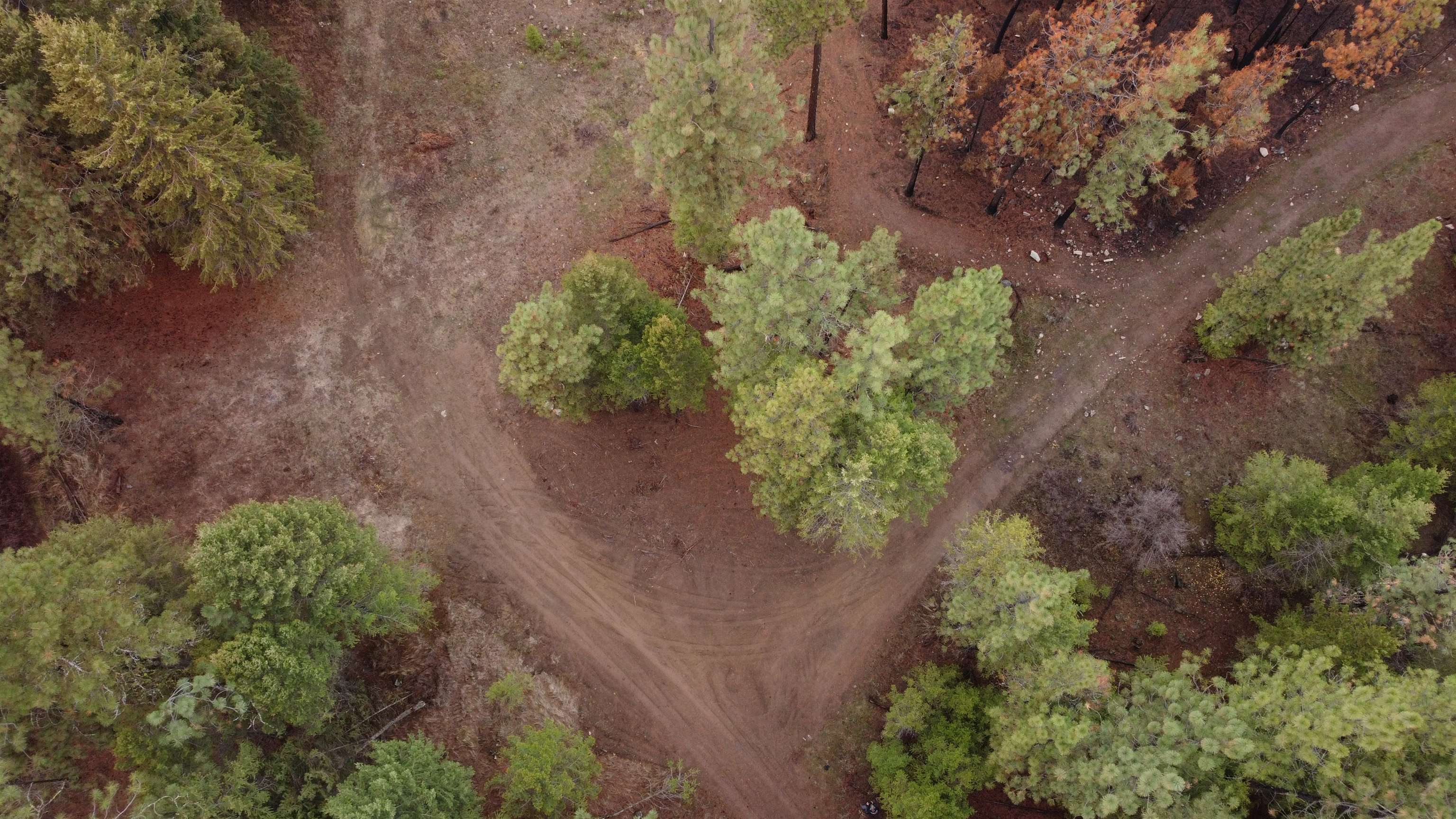 Xxx Coyote Ridge Ln Ford Ford, WA 99013 - Photo 14 of 42