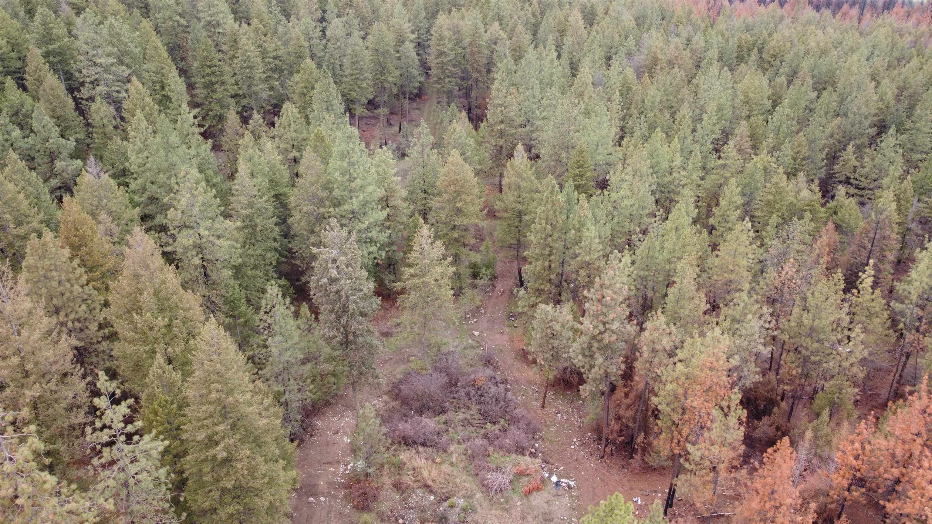 Xxx Coyote Ridge Ln Ford Ford, WA 99013 - Photo 20 of 42