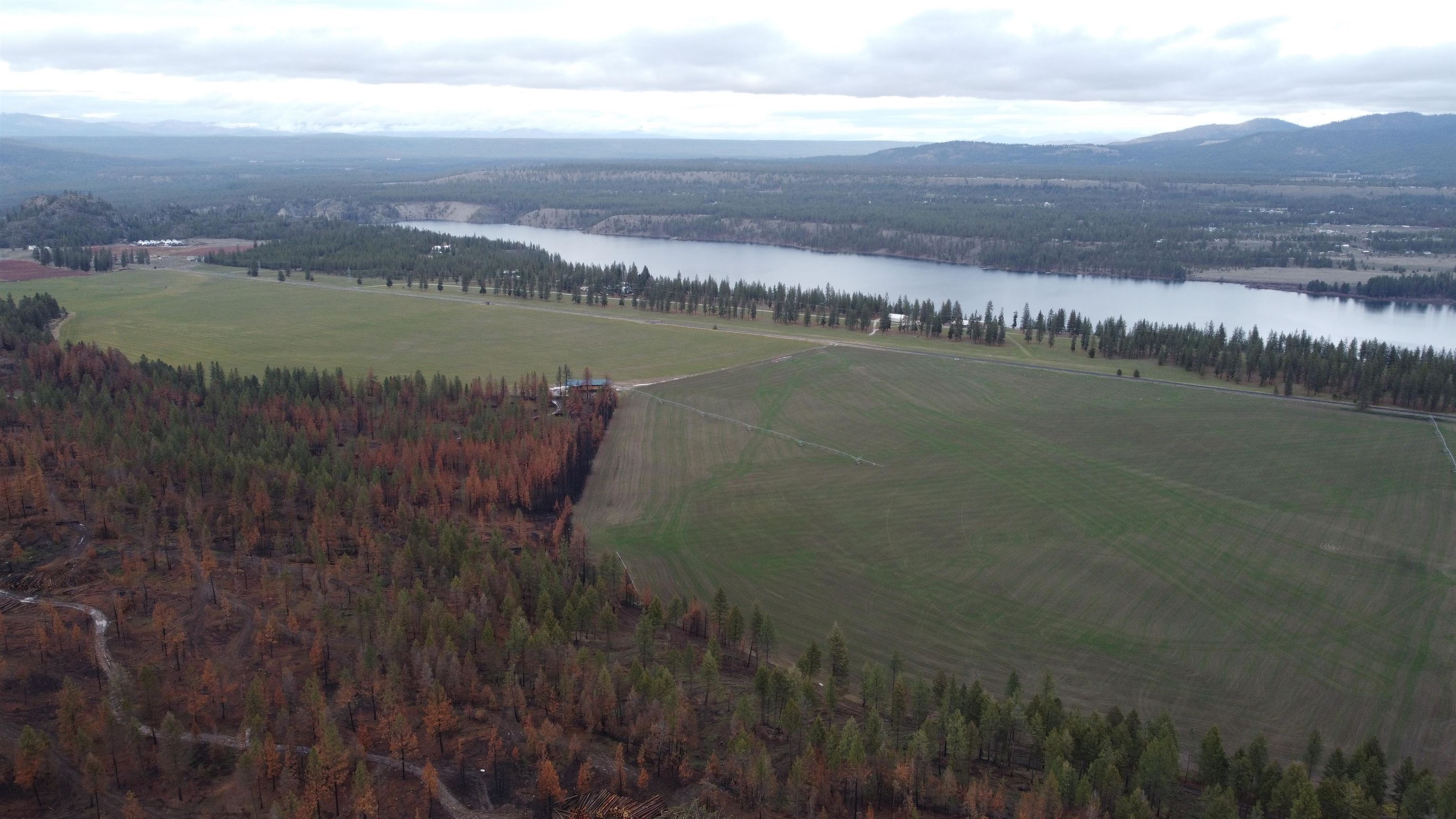 Xxx Coyote Ridge Ln Ford Ford, WA 99013 - Photo 2 of 42