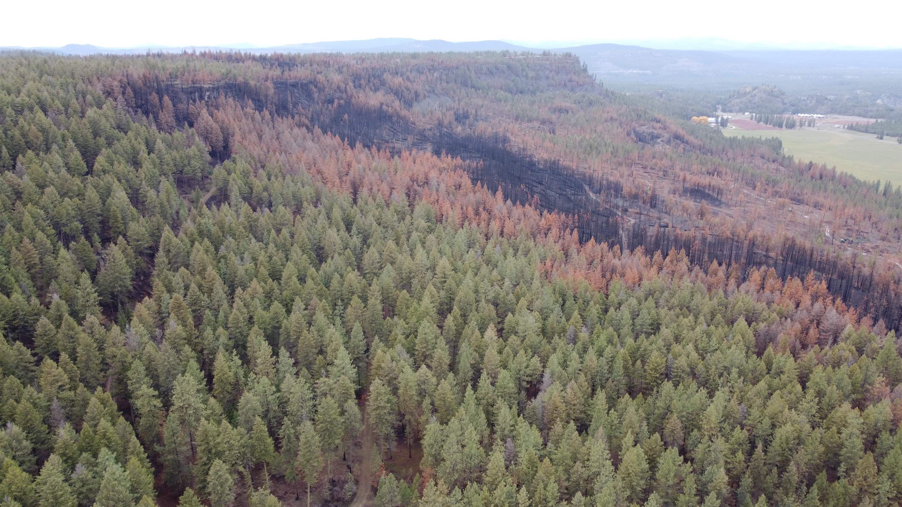 Xxx Coyote Ridge Ln Ford Ford, WA 99013 - Photo 22 of 42