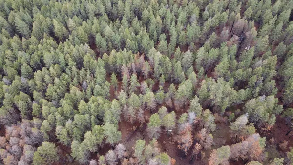 $99,500 | Xxx Coyote Ridge Ln Ford, Ford, WA 99013