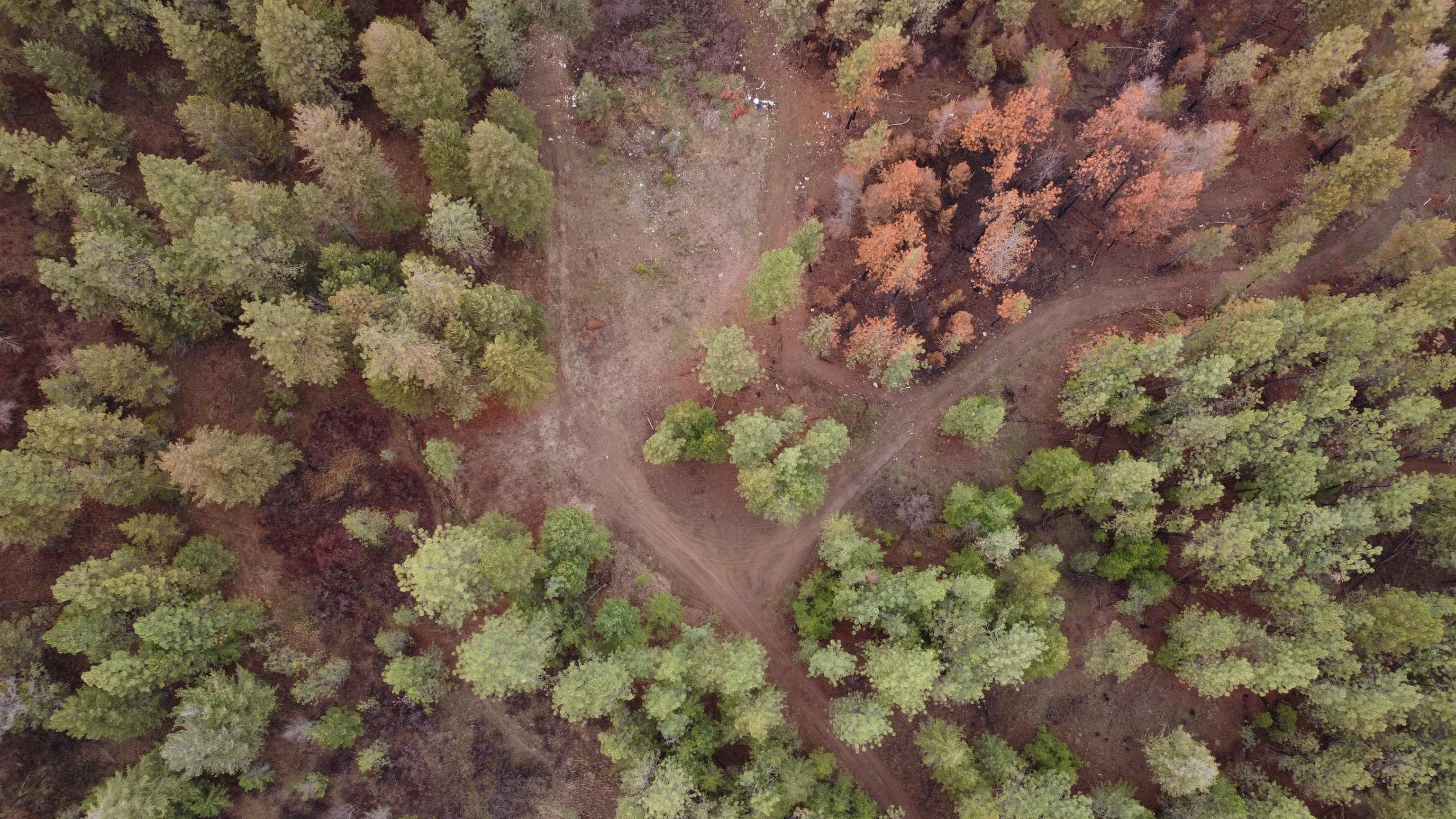 Xxx Coyote Ridge Ln Ford Ford, WA 99013 - Photo 25 of 42