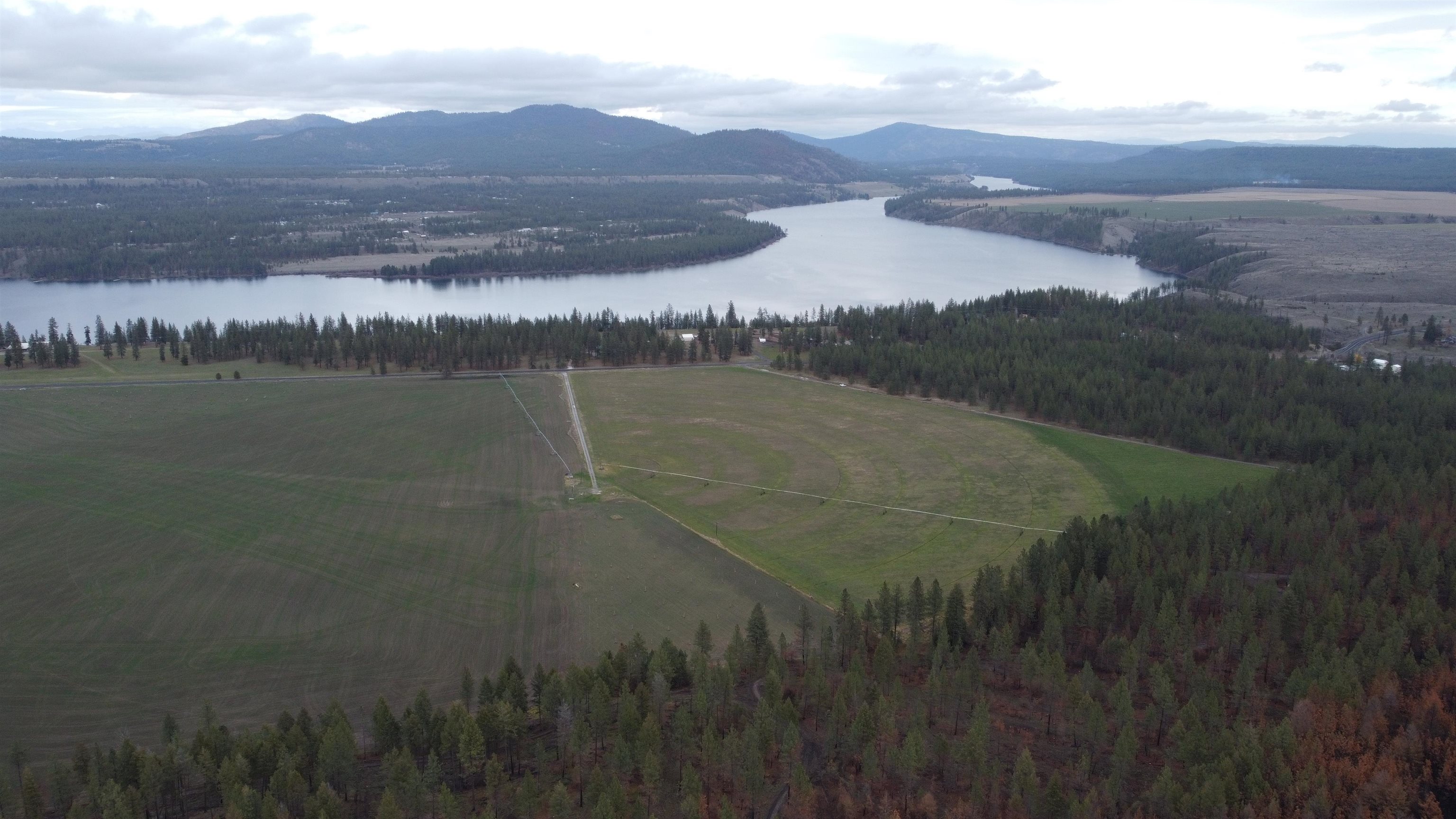 Xxx Coyote Ridge Ln Ford Ford, WA 99013 - Photo 26 of 42