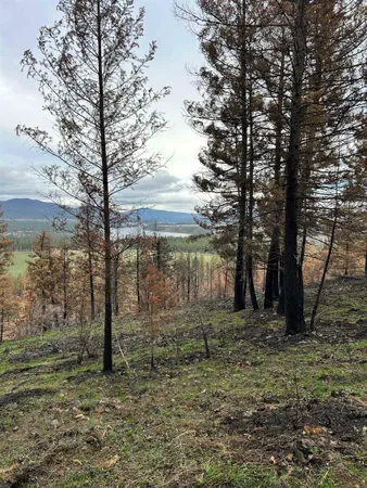 $99,500 | Xxx Coyote Ridge Ln Ford, Ford, WA 99013