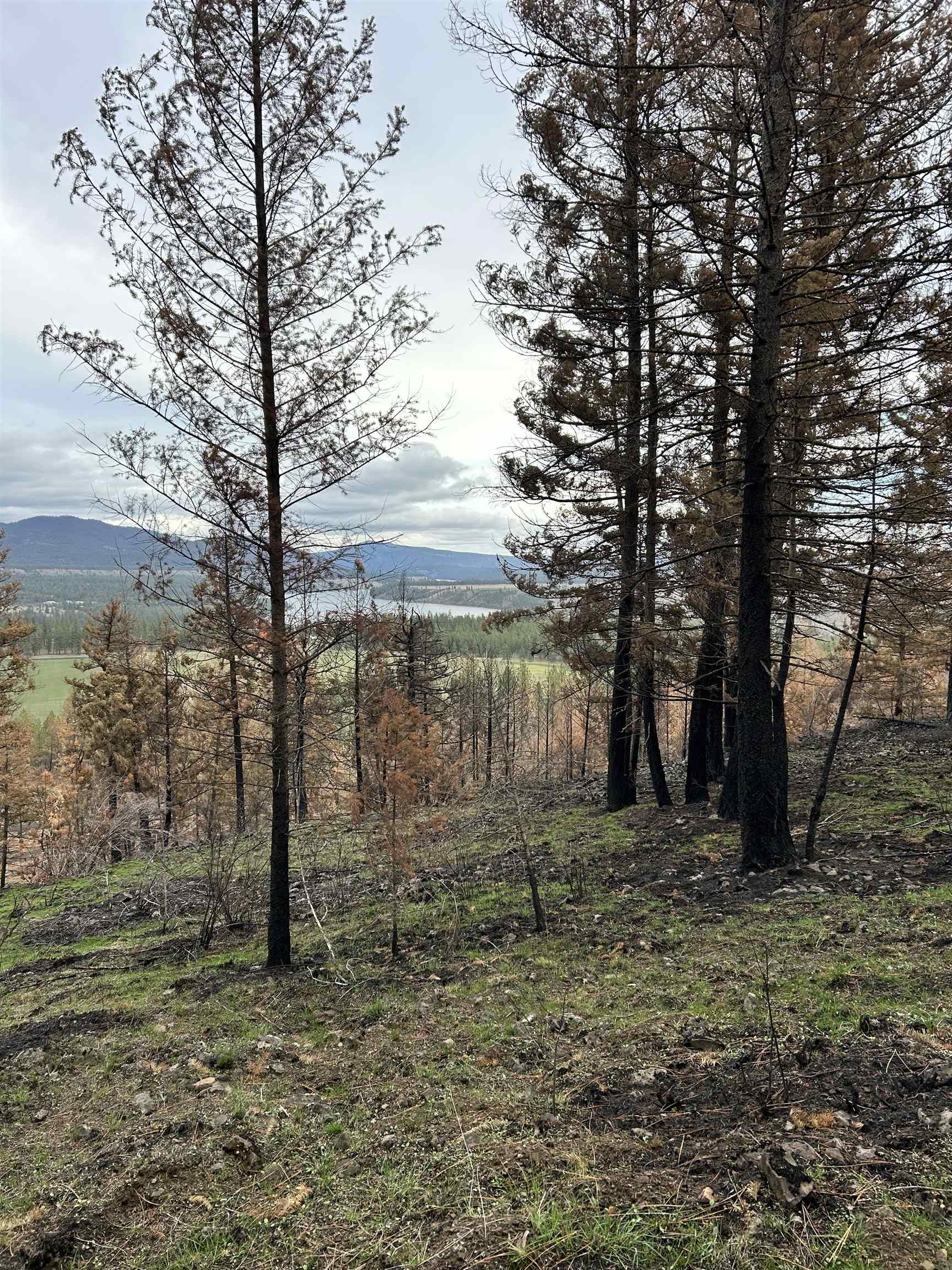 Xxx Coyote Ridge Ln Ford Ford, WA 99013 - Photo 27 of 42