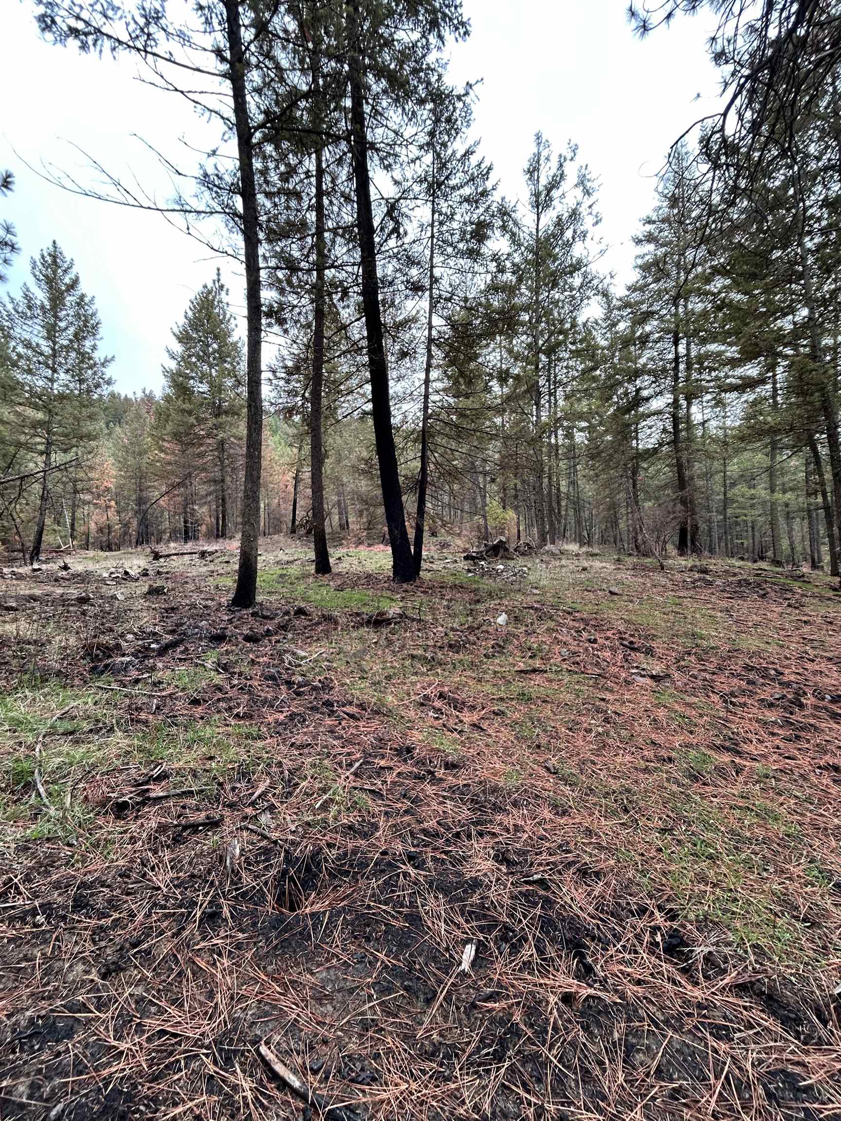 Xxx Coyote Ridge Ln Ford Ford, WA 99013 - Photo 30 of 42