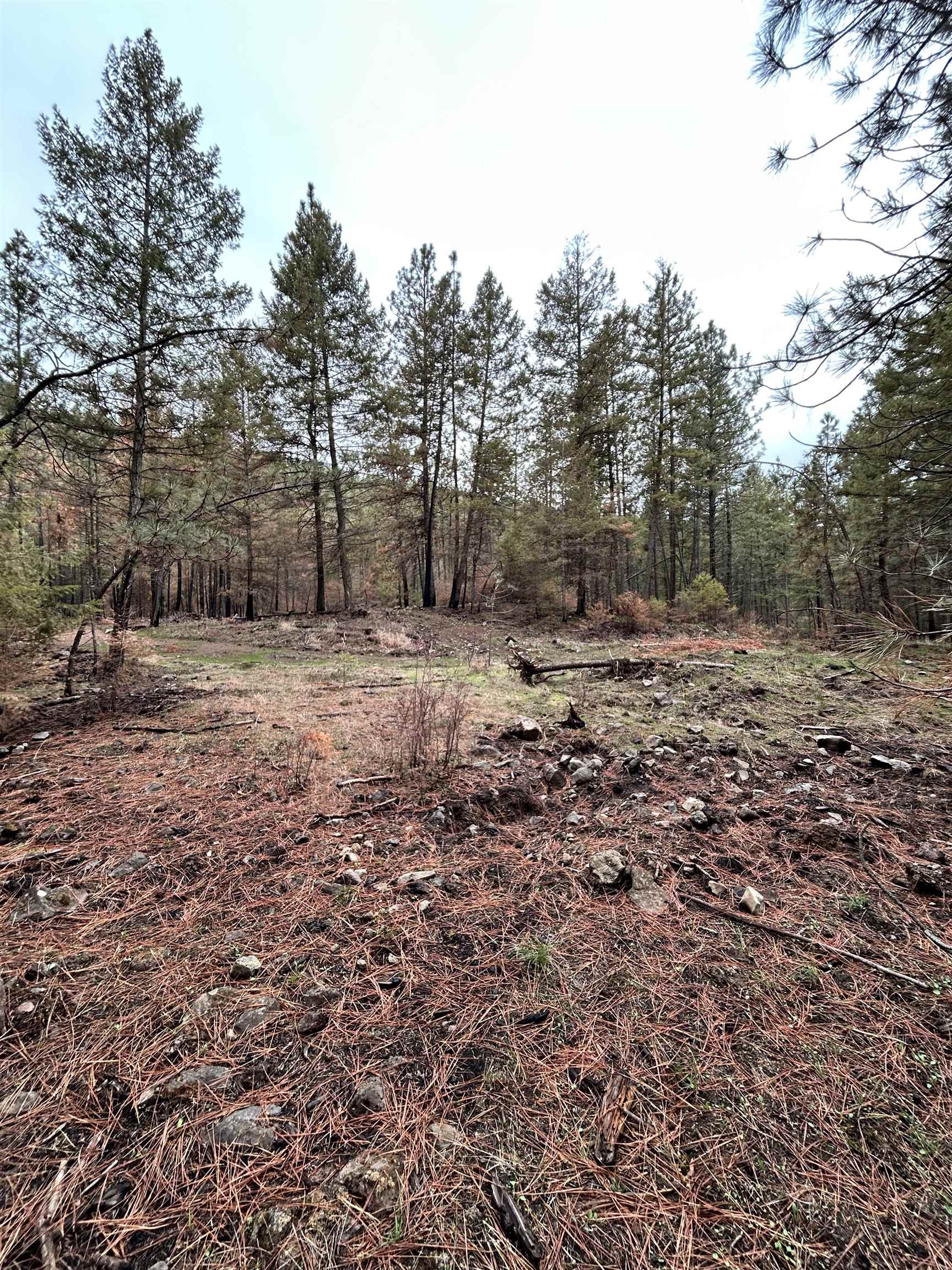 Xxx Coyote Ridge Ln Ford Ford, WA 99013 - Photo 31 of 42